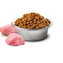 Clearance Farmina N&D Prime Adult Mini Chicken & Pomegranate Dry Dog Food