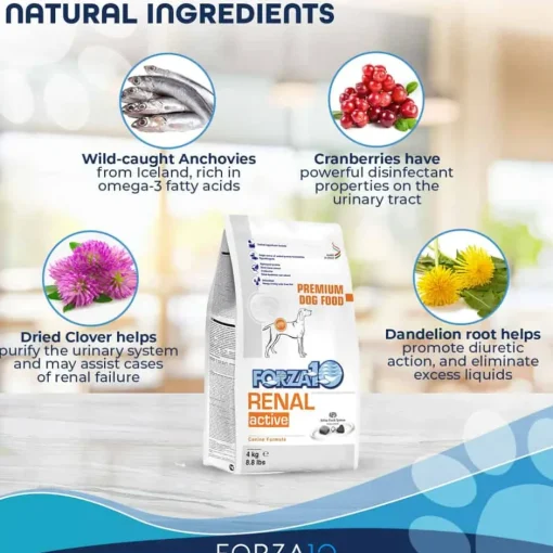 New Forza10 Nutraceutic Active Kidney Renal Support Diet Dry Dog Food