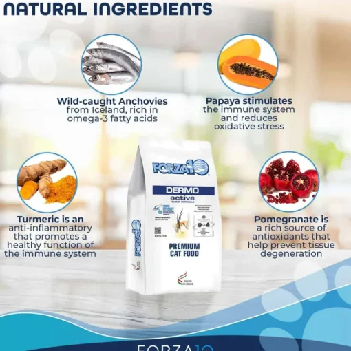 Hot Forza10 Nutraceutic Active Dermo Skin Support Diet Dry Cat Food