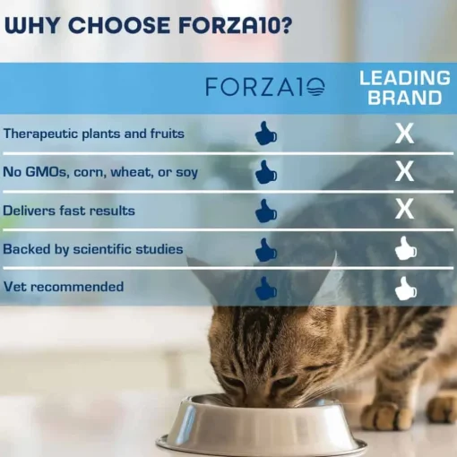 Hot Forza10 Nutraceutic Active Dermo Skin Support Diet Dry Cat Food