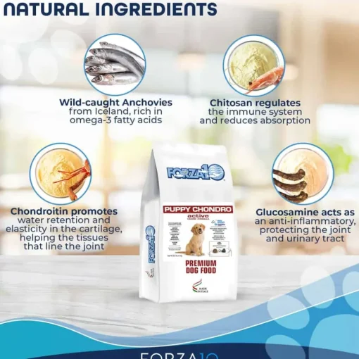 Discount Forza10 Nutraceutic Active Puppy Chondro Diet Dry Dog Food