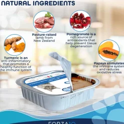 Hot Forza10 Nutraceutic ActiWet Hypo Support Lamb Recipe Wet Cat Food
