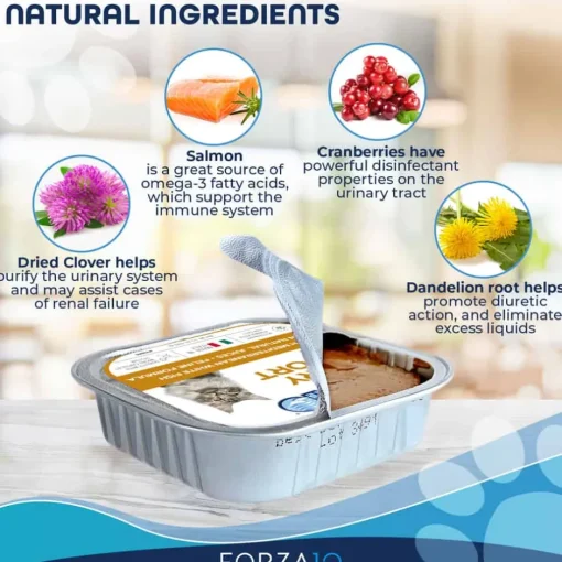 Hot Forza10 Nutraceutic ActiWet Urinary Support Icelandic Fish Recipe Wet Cat Food