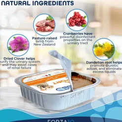Outlet Forza10 Nutraceutic ActiWet Renal Support Lamb Recipe Wet Dog Food