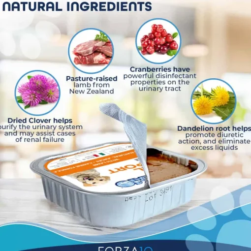 Outlet Forza10 Nutraceutic ActiWet Renal Support Lamb Recipe Wet Dog Food