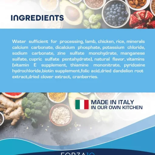 Outlet Forza10 Nutraceutic ActiWet Renal Support Lamb Recipe Wet Dog Food