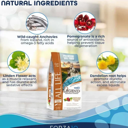 Clearance Forza10 Nutraceutic Legend All Life Medium & Large Breed Wild Caught Anchovy Grain Free Dry Dog Food