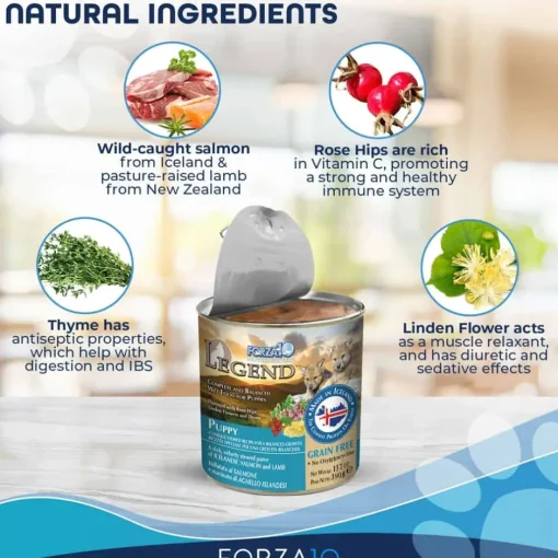 Outlet Forza10 Nutraceutic Legend Puppy Icelandic Salmon & Lamb Recipe Grain Free Wet Dog Food
