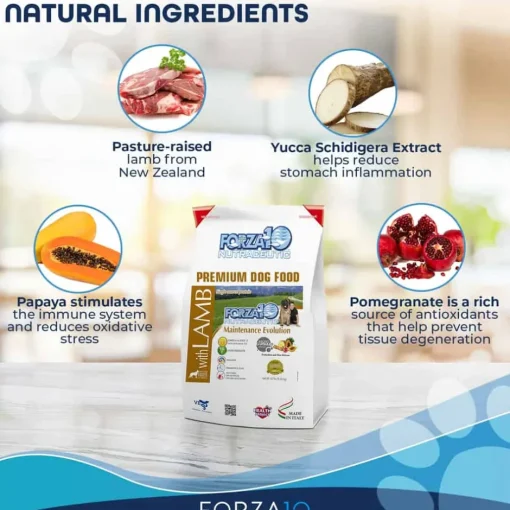 New Forza10 Nutraceutic Maintenance Evolution Lamb Dry Dog Food
