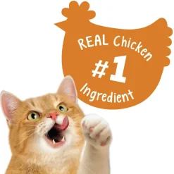 Fashion Purina Friskies Friskies Party Mix Chicken Lovers Crunch Cat Treats