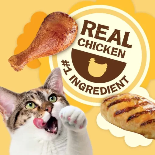 Sale Purina Friskies Friskies Party Mix Natural Yums with Real Chicken Cat Treats