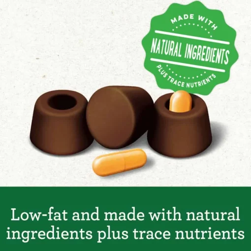 Sale Greenies Pill Pockets Capsule Size Natural Hickory Smoke Flavored Dog Treats
