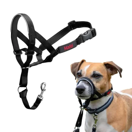Outlet Halti Headcollar No Pull Dog Head Collar Black