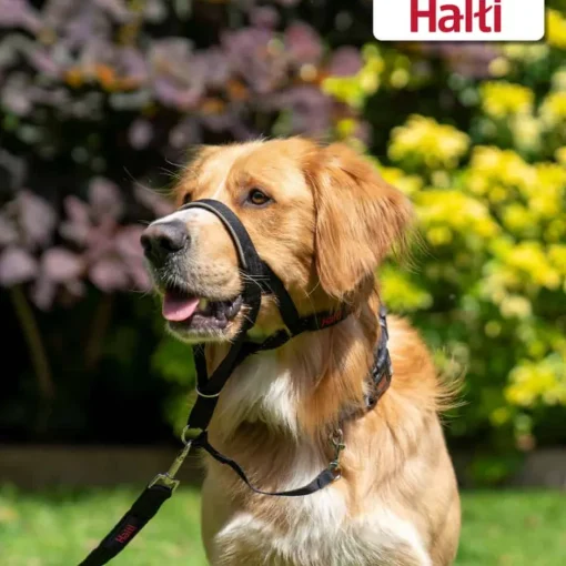 Outlet Halti Headcollar No Pull Dog Head Collar Black