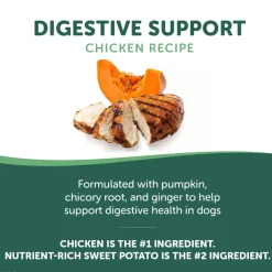 Online Healthfuls Digestive Support Chicken & Pumpkin Recipe Dog Treats