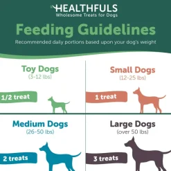 Online Healthfuls Digestive Support Chicken & Pumpkin Recipe Dog Treats