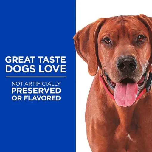 Clearance Hill's Treats Hill's Grain Free Soft-Baked Naturals with Duck & Pumpkin Dog Treats