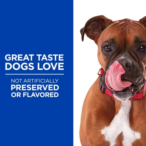 Online Hill's Treats Hill's Grain Free Soft-Baked Naturals with Chicken & Carrots Dog Treats