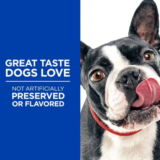 Online Hill's Treats Hill's Natural Baked Light Biscuits with Real Chicken Small Dog Treats
