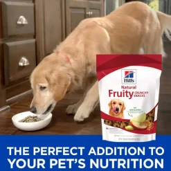 Discount Hill's Treats Hill's Natural Fruity Crunchy Snacks with Apples & Oatmeal Dog Treats