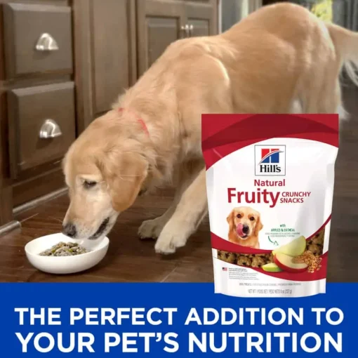 Discount Hill's Treats Hill's Natural Fruity Crunchy Snacks with Apples & Oatmeal Dog Treats