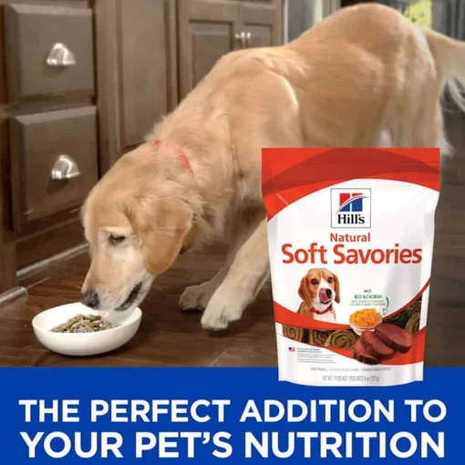 New Hill's Treats Hill's Natural Soft Savories Beef & Cheddar Dog Treats