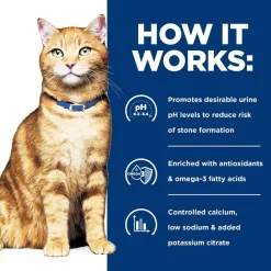 Best Hill's Prescription Diet c/d Multicare Urinary Care with Ocean Fish Dry Cat Food