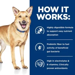 Hot Hill's Prescription Diet i/d Digestive Care with Turkey Wet Dog Food