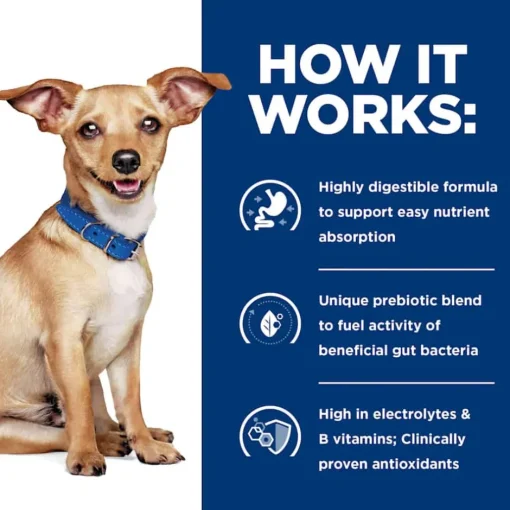 Best Hill's Prescription Diet i/d Digestive Care Small Bites Chicken Flavor Dry Dog Food