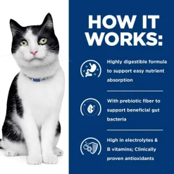 Best Hill's Prescription Diet i/d Digestive Care Chicken & Vegetable Stew Wet Cat Food