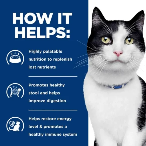 Best Hill's Prescription Diet i/d Digestive Care Chicken & Vegetable Stew Wet Cat Food