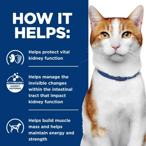 Hot Hill's Prescription Diet k/d Kidney Care with Chicken Dry Cat Food