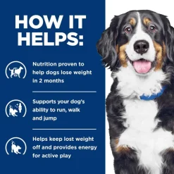 Online Hill's Prescription Diet Metabolic + j/d Mobility Care Vegetable & Tuna Stew Wet Dog Food