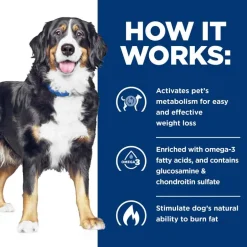 Online Hill's Prescription Diet Metabolic + j/d Mobility Care Vegetable & Tuna Stew Wet Dog Food