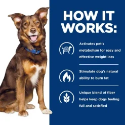 Fashion Hill's Prescription Diet Metabolic Weight Management Chicken Flavor Dry Dog Food
