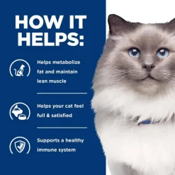 Clearance Hill's Prescription Diet r/d Weight Reduction Chicken Flavor Dry Cat Food