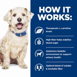 Sale Hill's Prescription Diet w/d Multi-Benefit Digestive + Weight + Glucose + Urinary Management Chicken Flavor Dry Dog Food