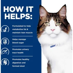 Fashion Hill's Prescription Diet w/d Multi-Benefit Digestive + Weight + Glucose + Urinary Management Chicken Flavor Dry Cat Food