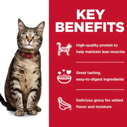 Fashion Hill's Science Diet Adult Tender Dinner Variety Pack Tuna, Chicken, & Ocean Fish Wet Cat Food