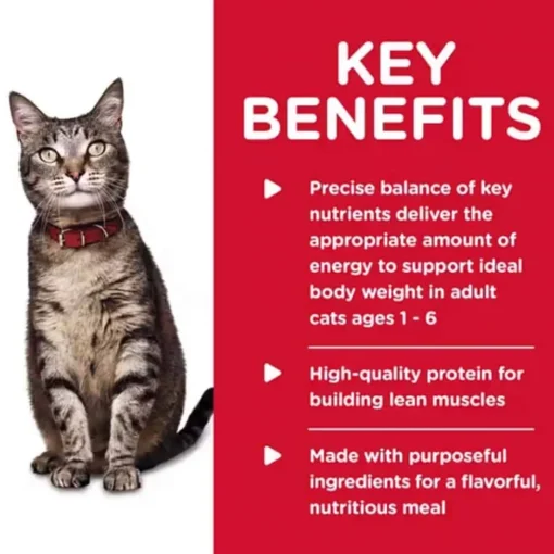 Sale Hill's Science Diet Adult Savory Chicken Entree Wet Cat Food