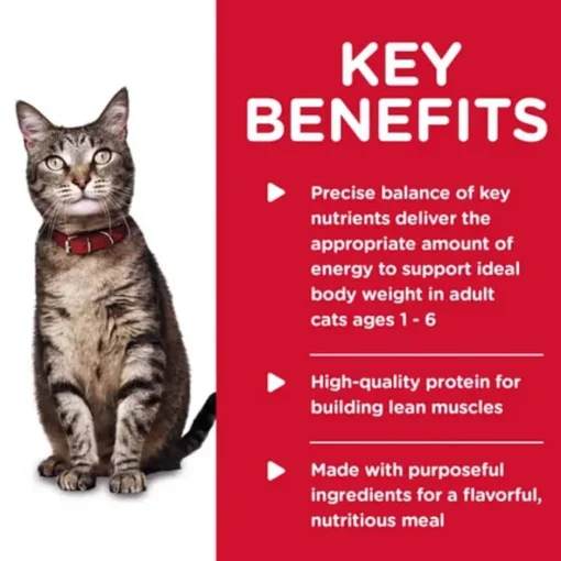 Hot Hill's Science Diet Adult Tender Ocean Fish Dinner Wet Cat Food