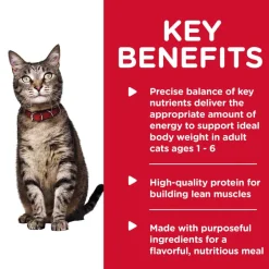 Outlet Hill's Science Diet Adult Savory Turkey Entree Wet Cat Food