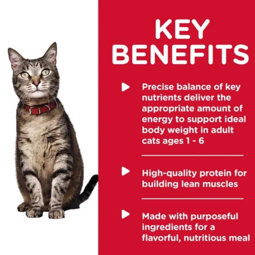 Outlet Hill's Science Diet Adult Savory Turkey Entree Wet Cat Food
