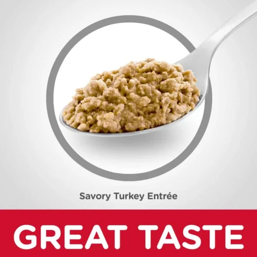 Outlet Hill's Science Diet Adult Savory Turkey Entree Wet Cat Food