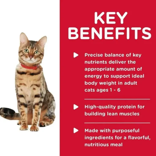 Sale Hill's Science Diet Adult Healthy Cuisine Roasted Chicken & Rice Medley Wet Cat Food