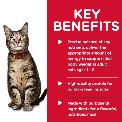 Clearance Hill's Science Diet Adult Tender Tuna Dinner Wet Cat Food
