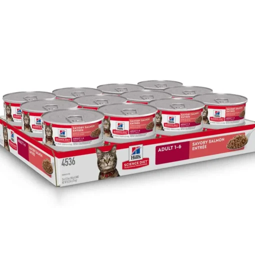 Fashion Hill's Science Diet Adult Savory Salmon Entree Wet Cat Food