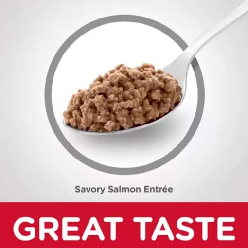 Fashion Hill's Science Diet Adult Savory Salmon Entree Wet Cat Food