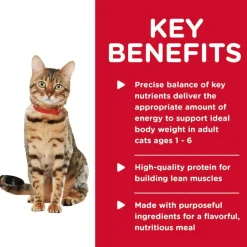 Clearance Hill's Science Diet Adult Healthy Cuisine Poached Salmon & Spinach Medley Wet Cat Food