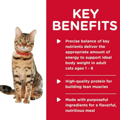Clearance Hill's Science Diet Adult Healthy Cuisine Poached Salmon & Spinach Medley Wet Cat Food